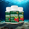Berberine Starter Pack (3 Month Supply)