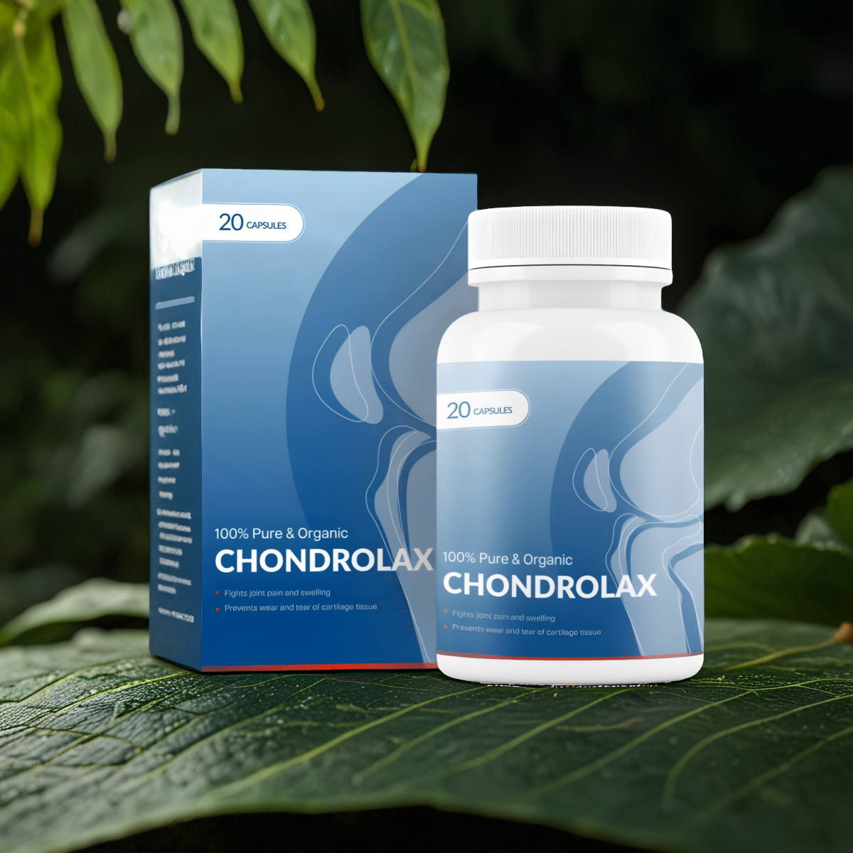 Chondrolax new