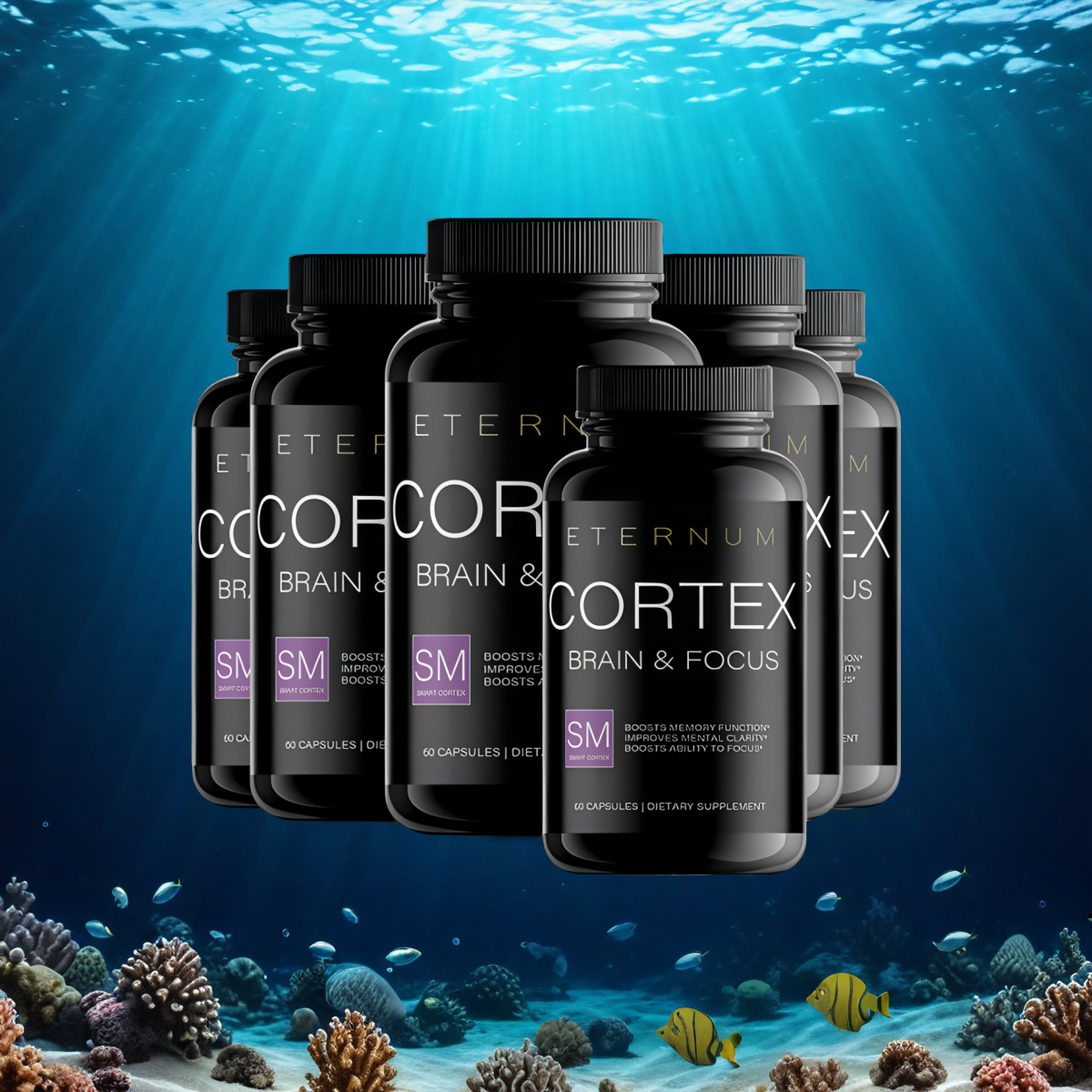Eternum Cortex (6 bottles - 60 capsules each)