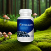 OFTOLGAM