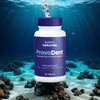 ProvaDent 1 bottle