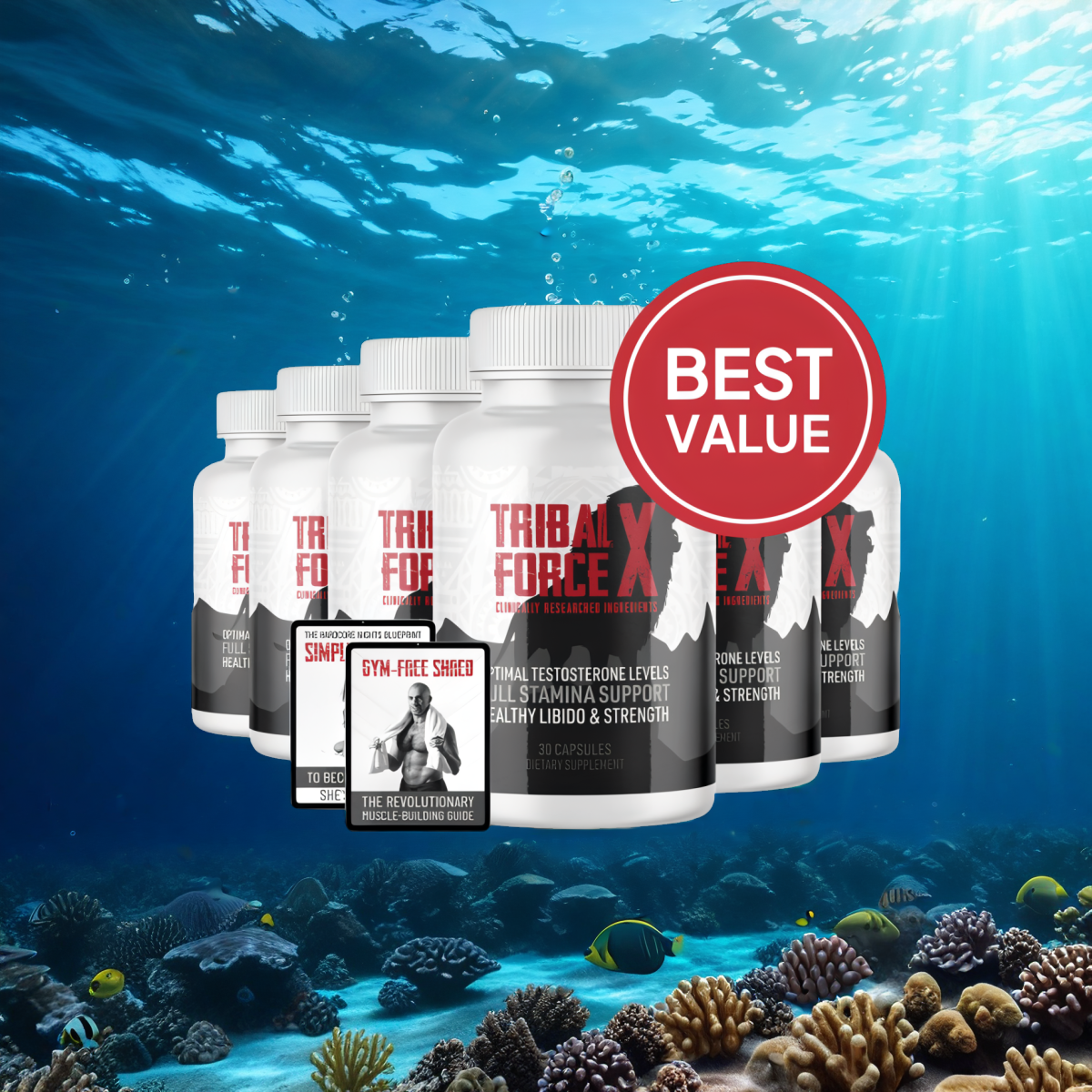 TribalForce X - 6 Bottles